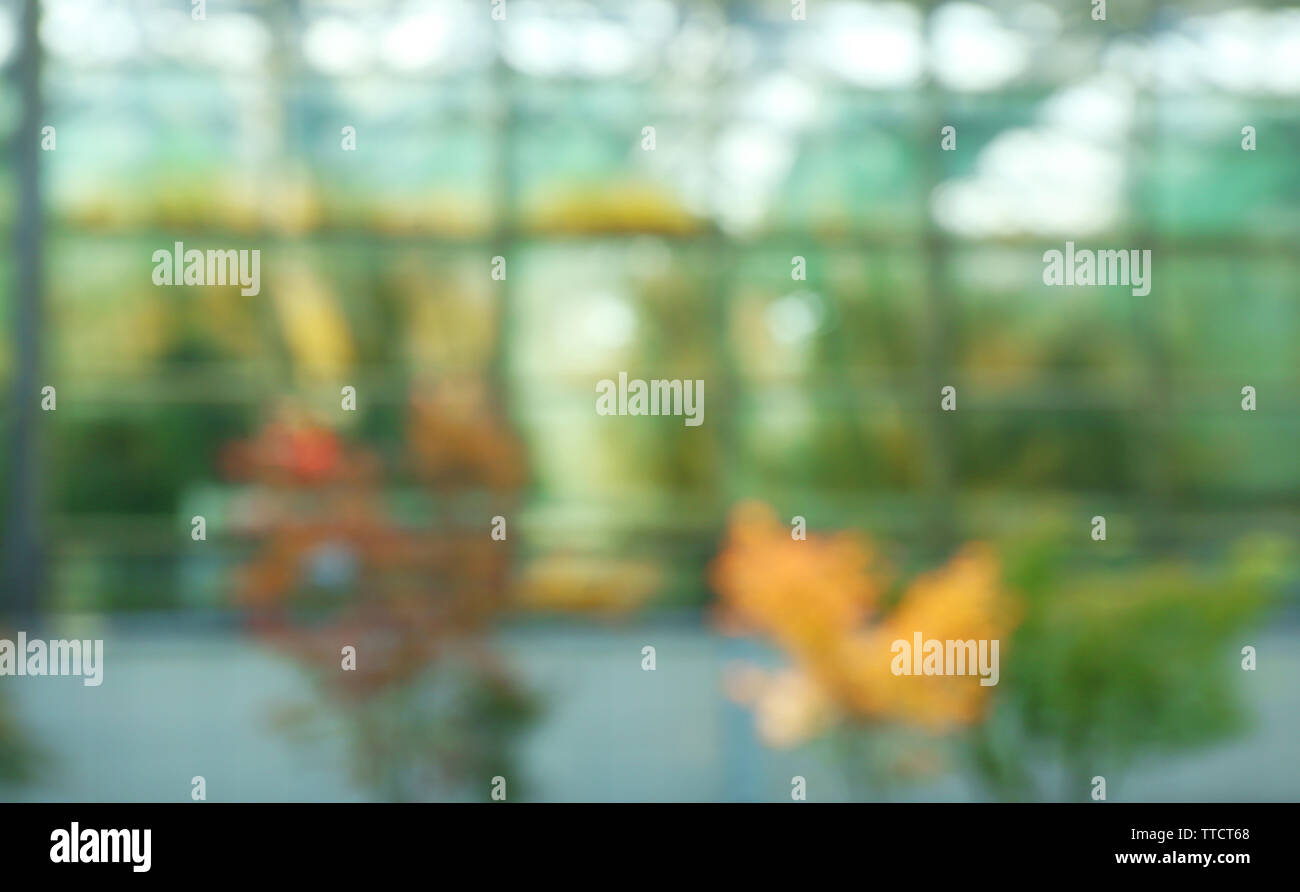 Greenhouses in botanical garden hi-res stock photography and images - Alamy