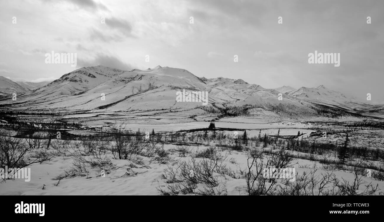 Tombstone Territorial Reserve in late March, Yukon, Canada Stock Photo