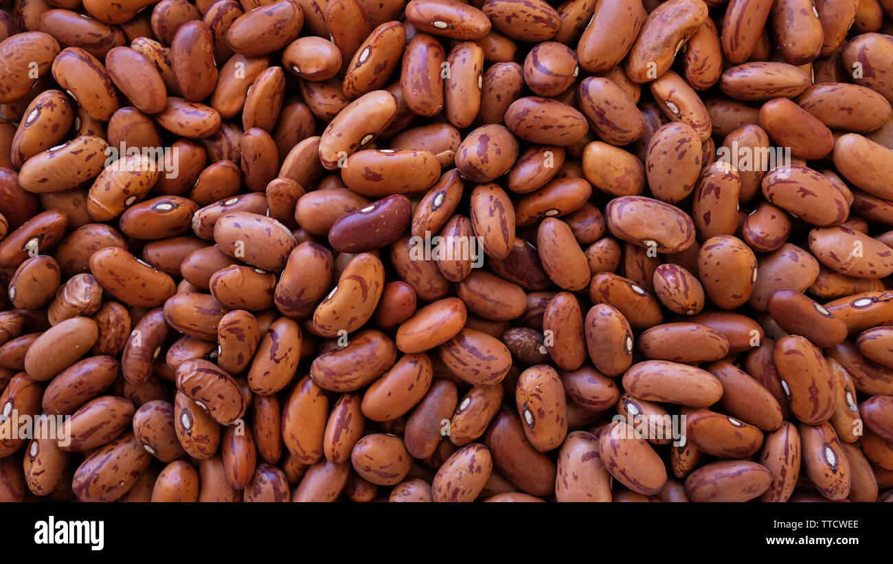 Food background with dry pinto beans, a nutrientdense legume with