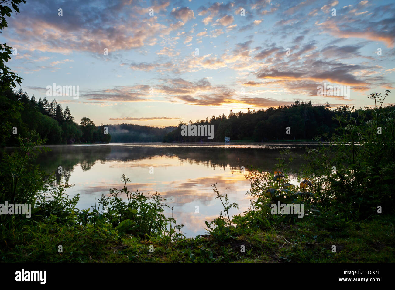 Shearwater lake, Wiltshire on a cool Summers evening with a mist across the lake. Stock Photo