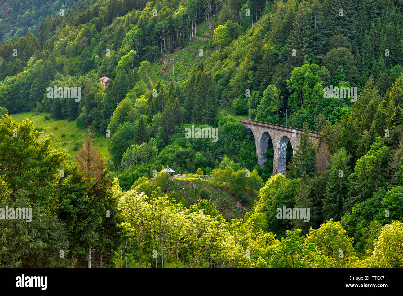 Ravenna viadukt in the Hoellental valley, Breitnau, Germany Stock Photo