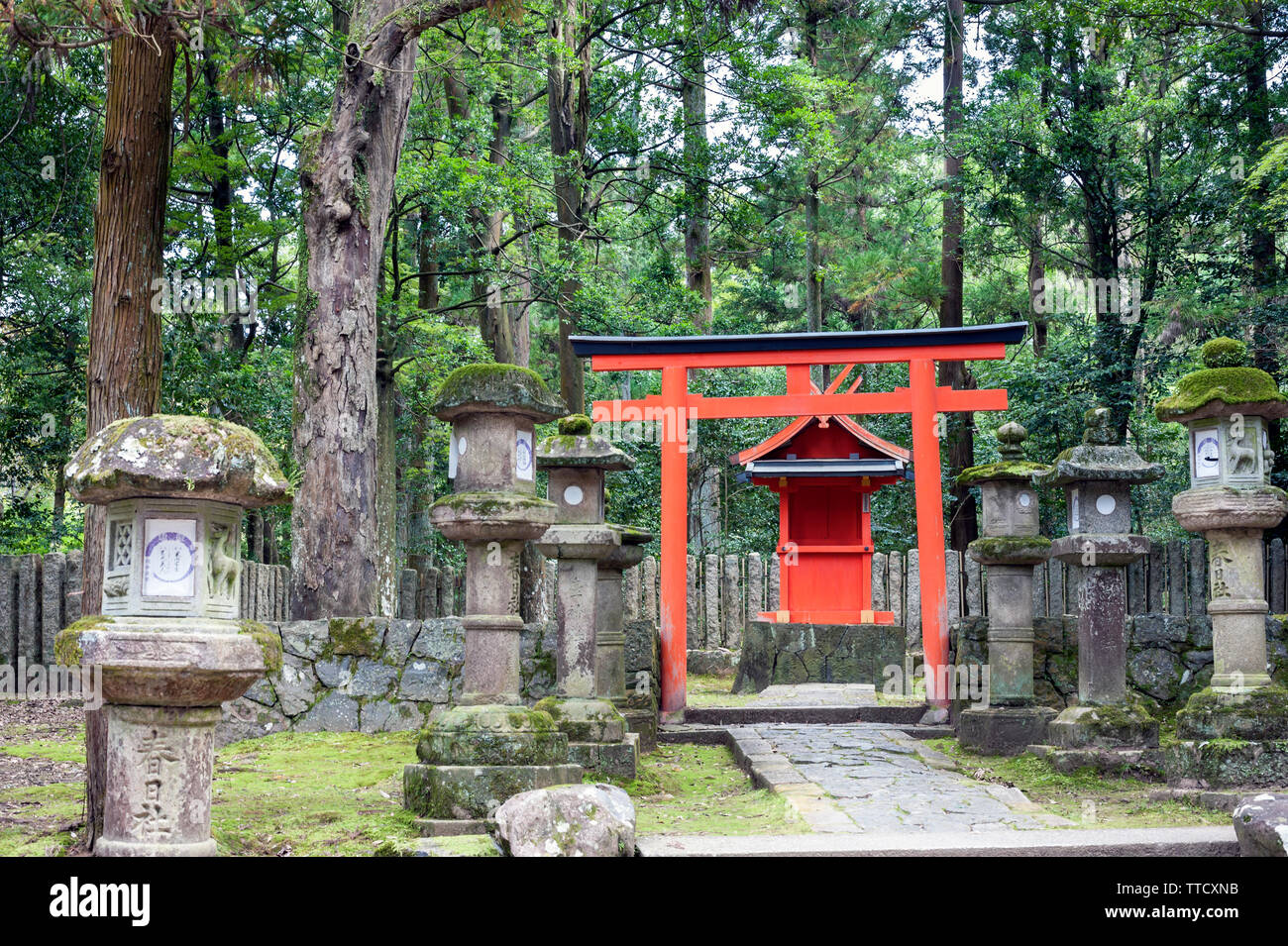 Japanese stone lanterns at the Kasuga Taisha Shinto shrine, Nara, Japan along with miniature red  torii and shrine. Stock Photo