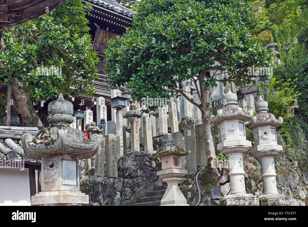 Japanese stone lanterns (toro),  at the Kasuga Taisha Shinto shrine, Nara, Japan. Stock Photo