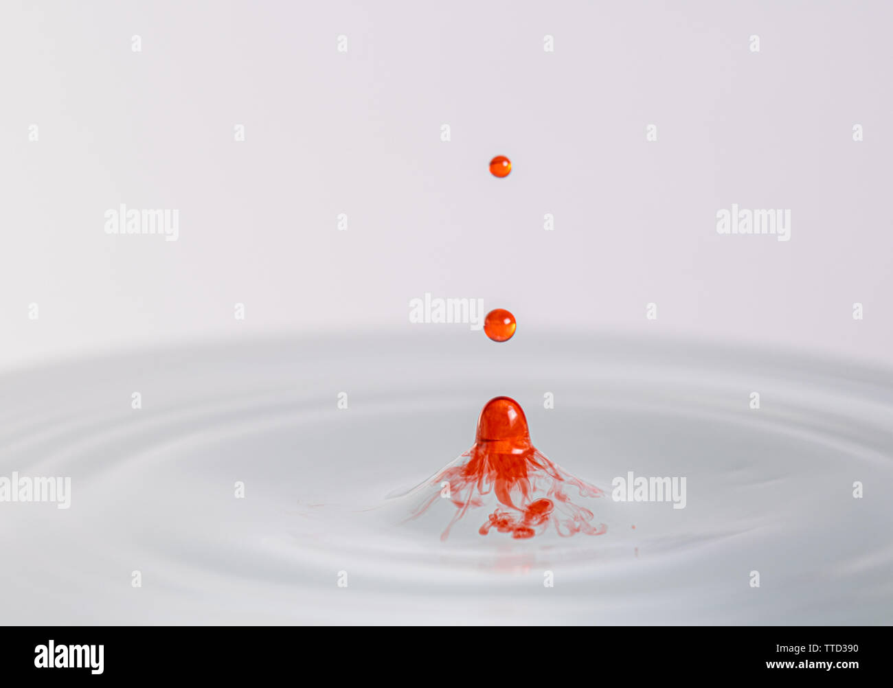 Close up macro photography of a red water, resembling blood, drop ...