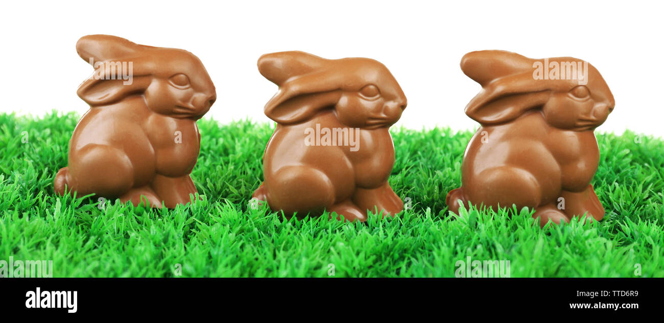 Chocolate Easter bunnies on green grass, on white background Stock Photo