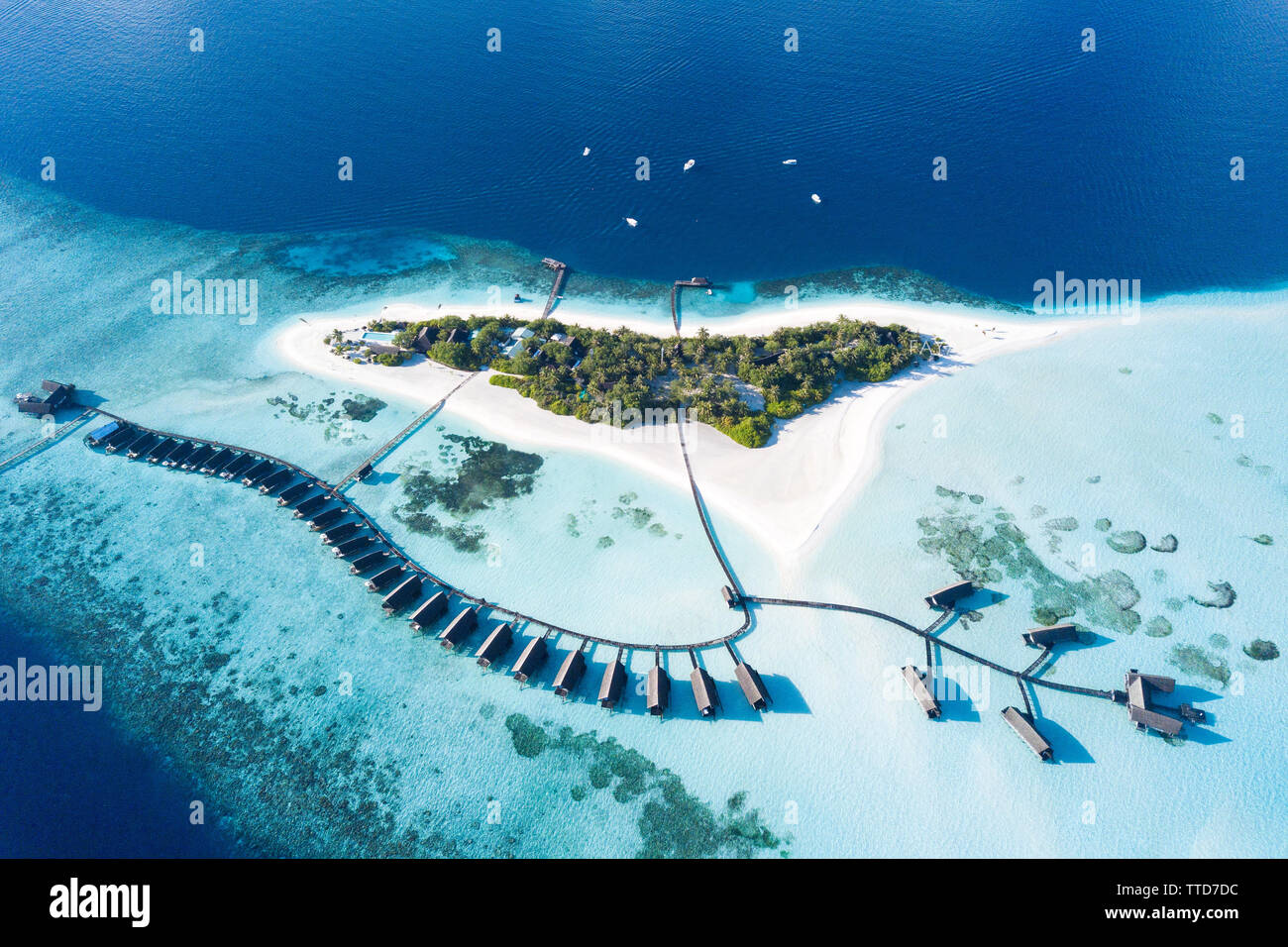 Sunnysideof Life, Maldives Stock Photo