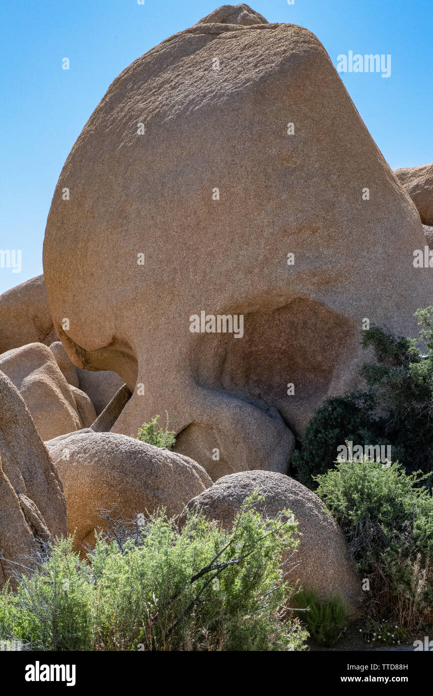 Skull Rock In Joshua Tree National Park In Southern California Usa