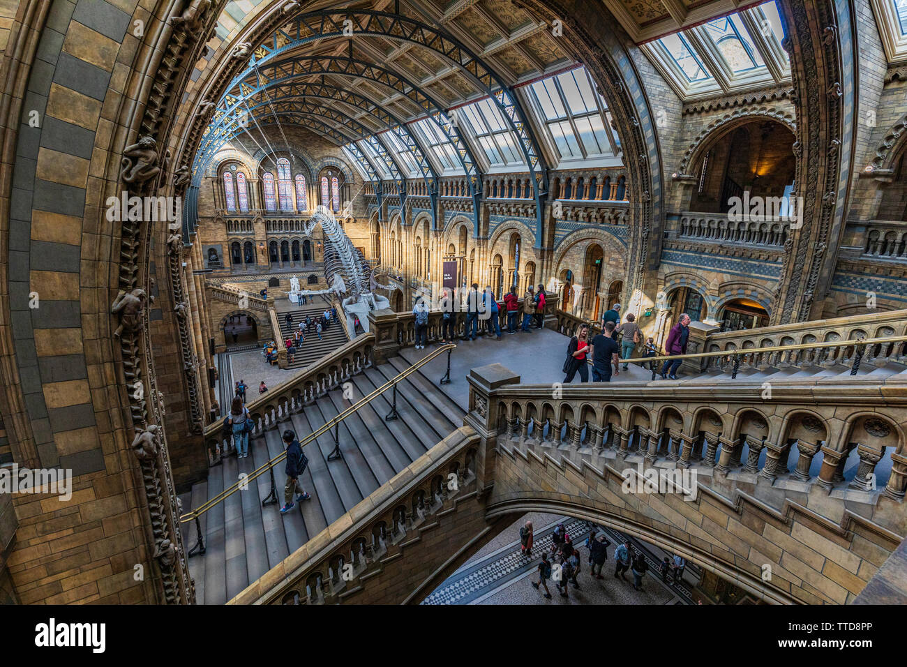 Inside The Natural History Museum Stock Photo