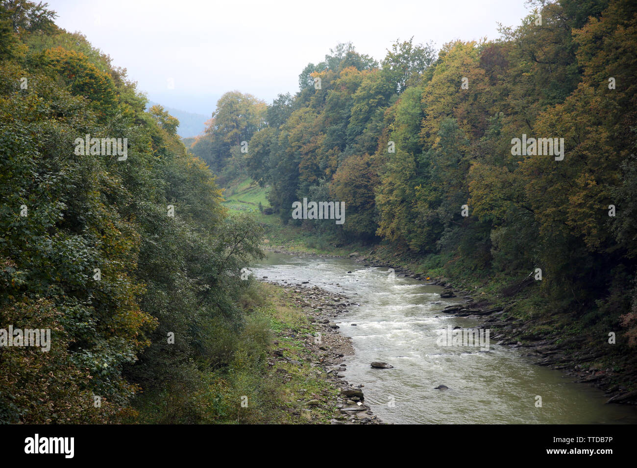 Mountain river flowing through forest Stock Photo - Alamy