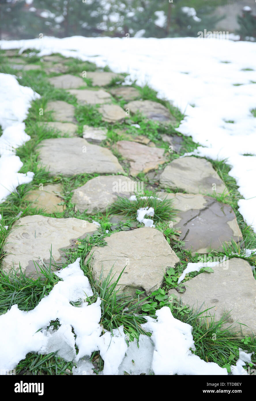 Stone walk path in park Stock Photo - Alamy