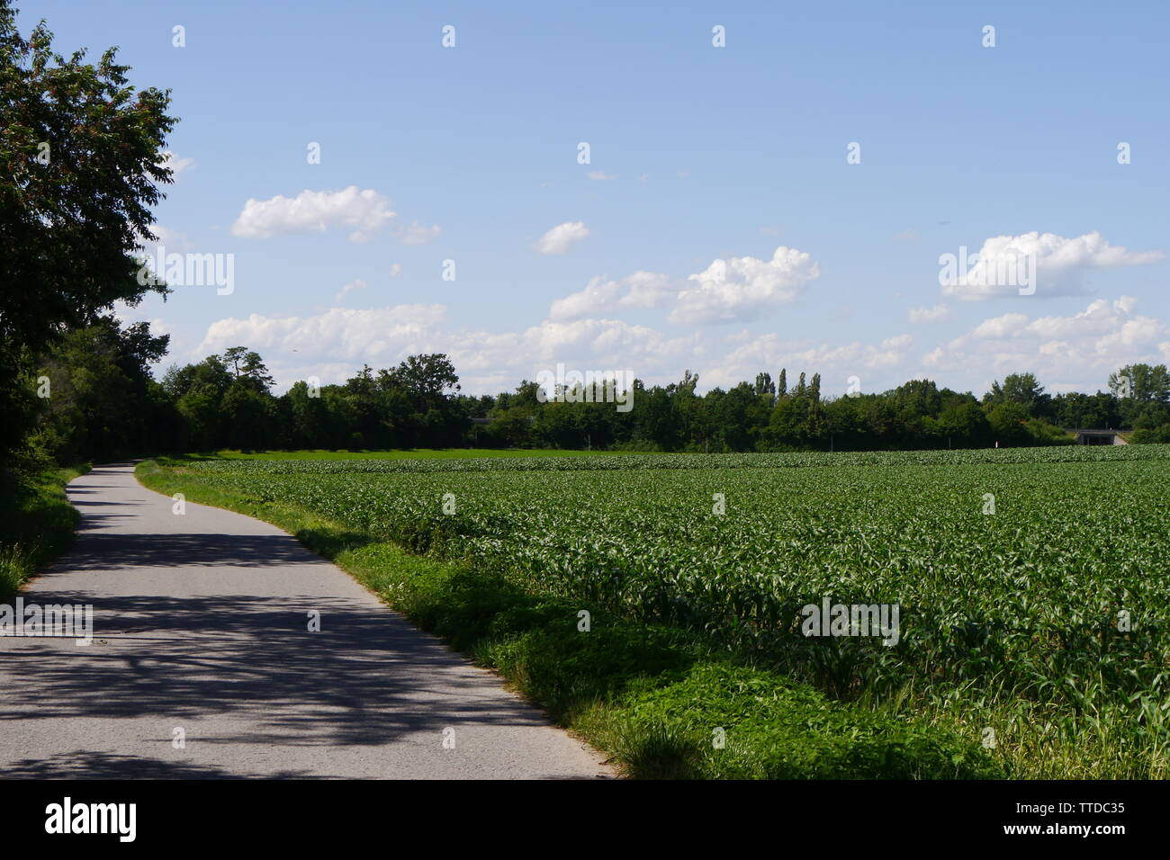 Pathway through the fields hi-res stock photography and images - Alamy