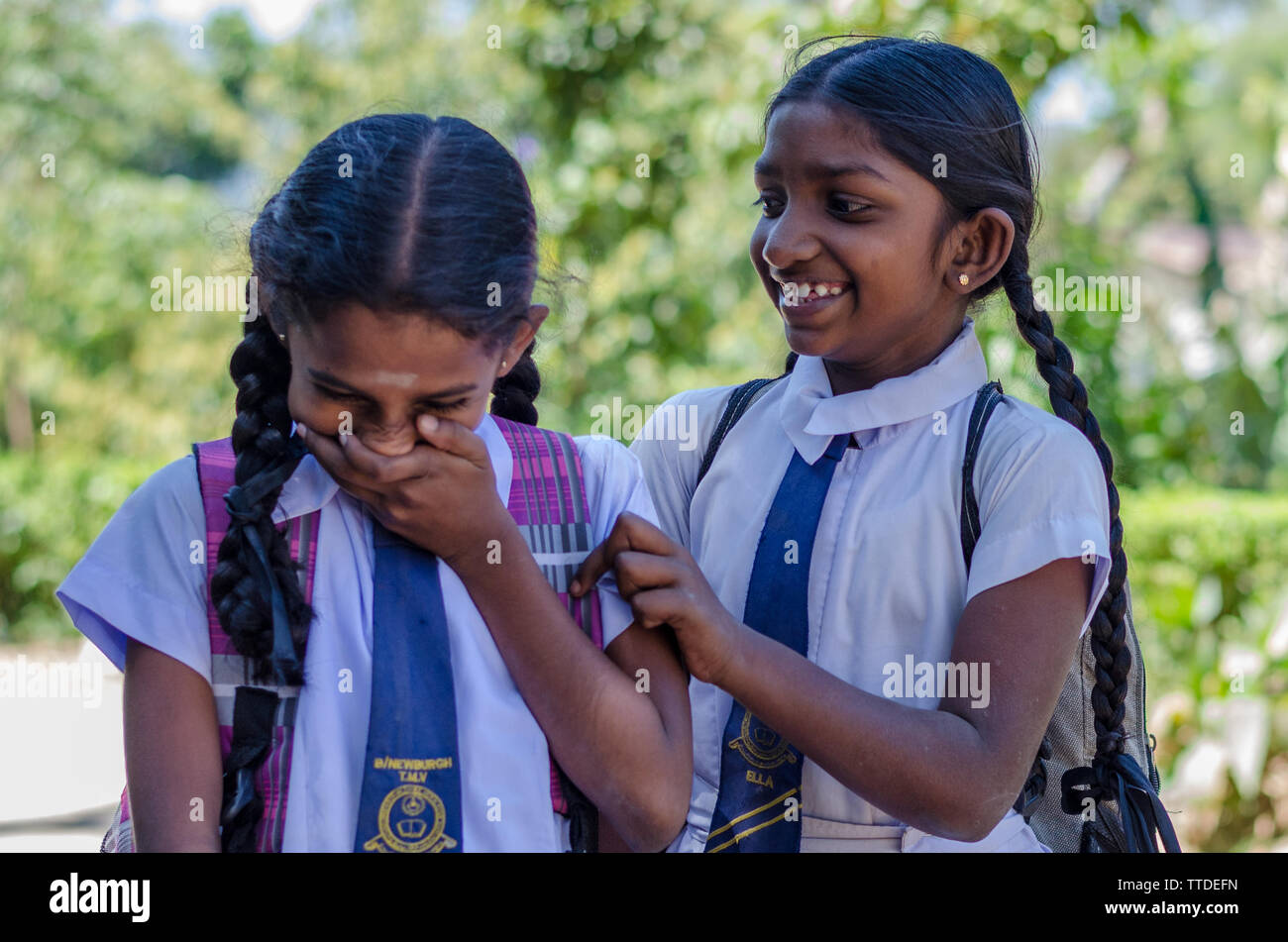 Two Classmates, Ella, Sri Lanka Stock Photo