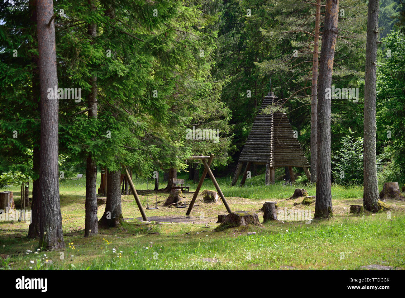Forni di Sopra / Italy - June 10, 2019: a beautiful playground for children in the middle of a pine forest; summer activities in the Dolomites Stock Photo