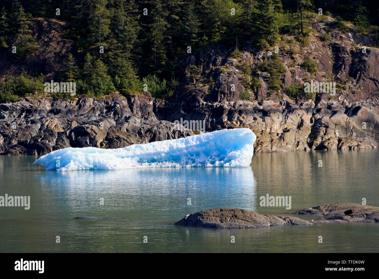 Ice, Endicott Arm, Holkham Bay, Juneau, Alaska, USA Stock Photo