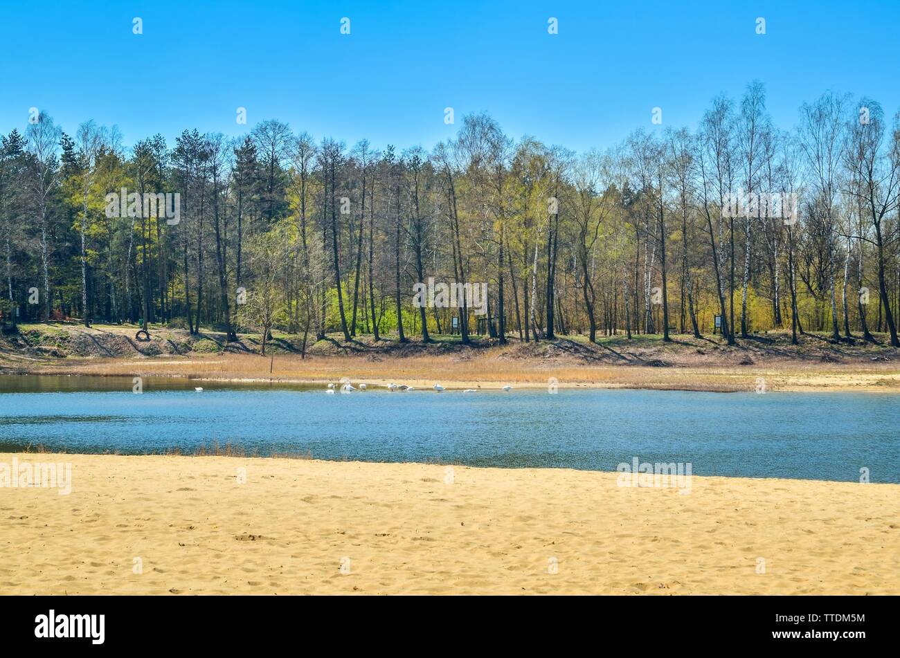 Calm spring day on the beach hi-res stock photography and images - Alamy