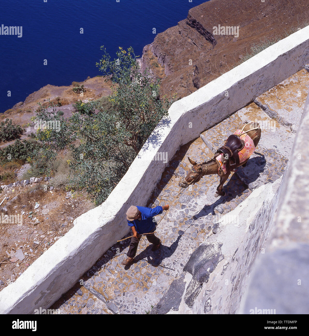 Man with donkey on track from old port of Fira to town of Fira, Santorini, Cyclades, South Aegean Region, Greece Stock Photo