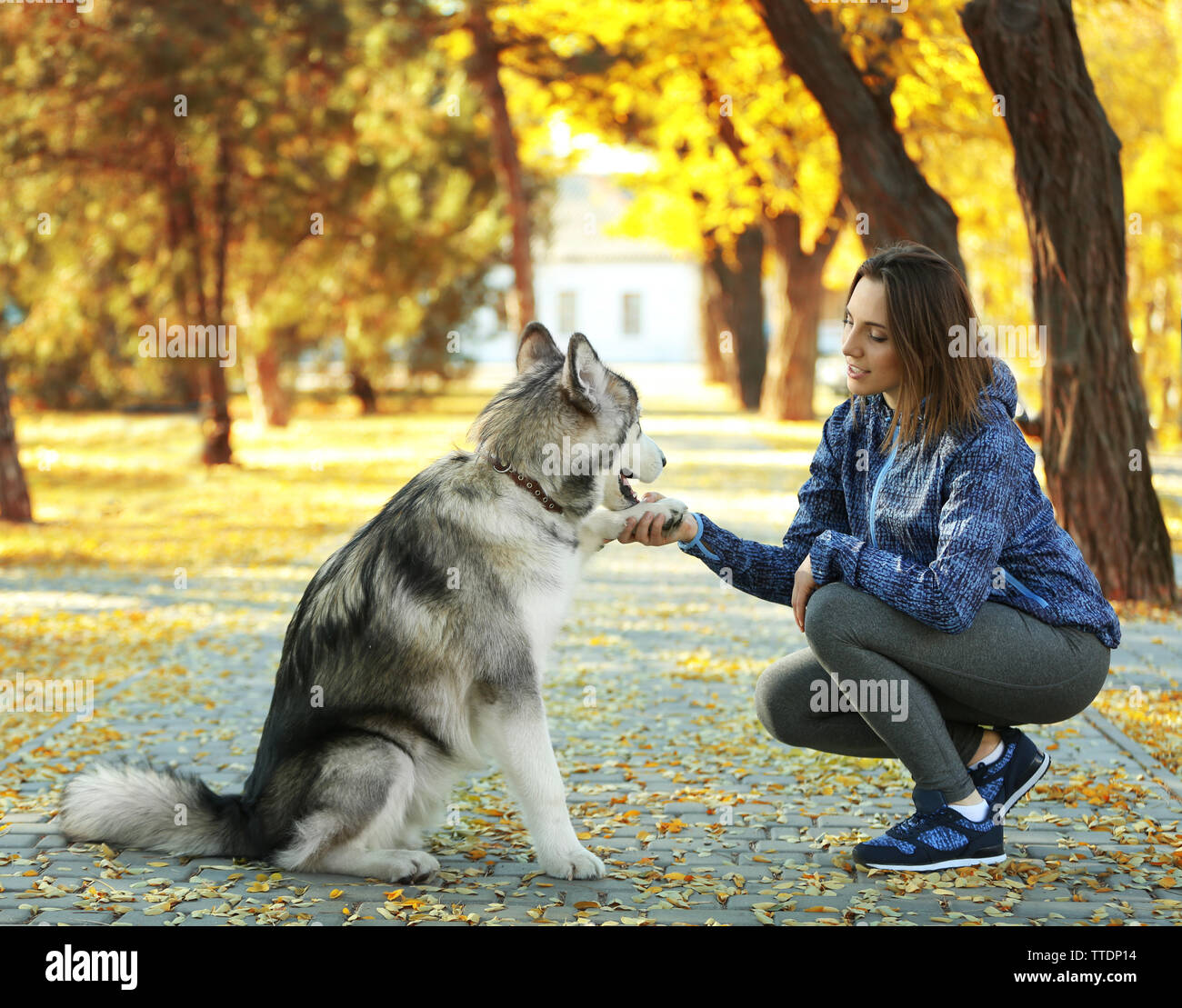 Happy young woman walking with her dog in park Stock Photo - Alamy