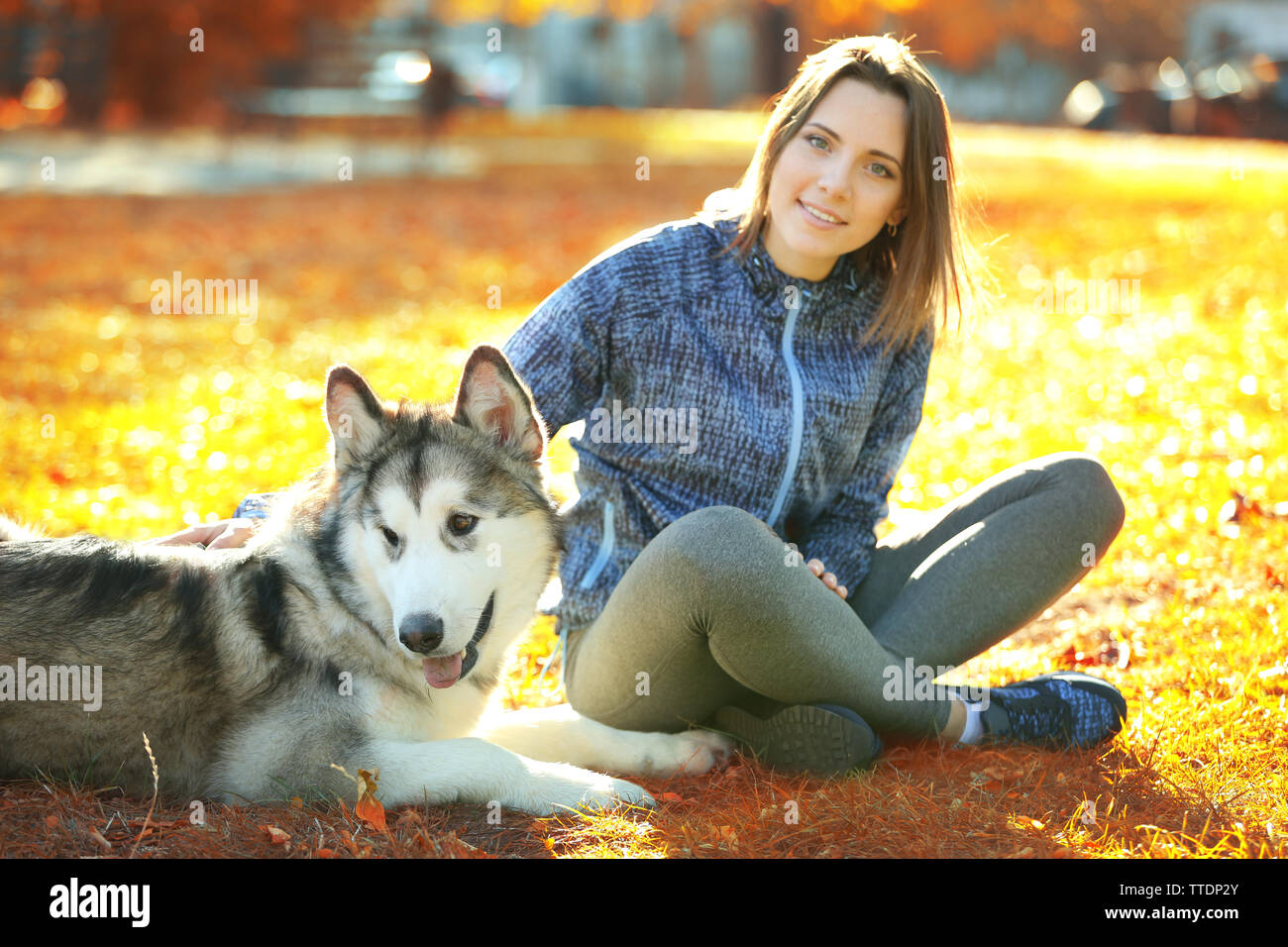 Happy young woman sitting with her dog on grass in park Stock Photo - Alamy
