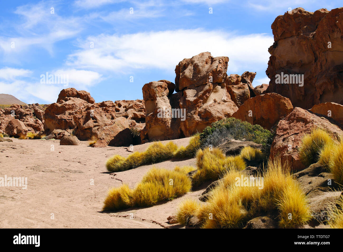 Landscapes of the Atacama Desert: rocks along the road to the El Tatio geysers near the Termas de Puritama, Atacama Desert, Chile Stock Photo