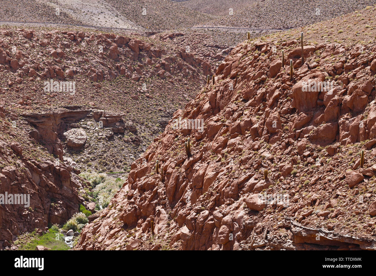 Landscapes of the Atacama Desert: canyon and volcanoes along the road to the El Tatio geysers near the Termas de Puritama, Atacama Desert, Chile Stock Photo
