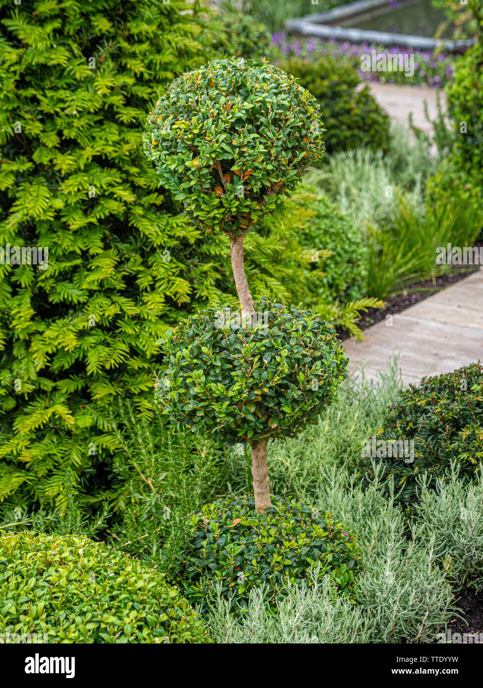 Topiary balls hi-res stock photography and images - Alamy