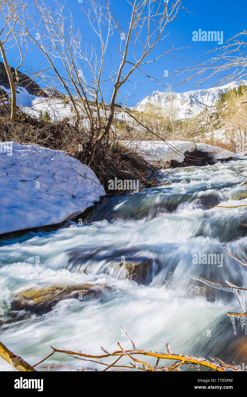 Runoff from the record snowfall in the Sierra Nevada mountains flows down McGee creek on the Eastern side in June 2019. Stock Photo