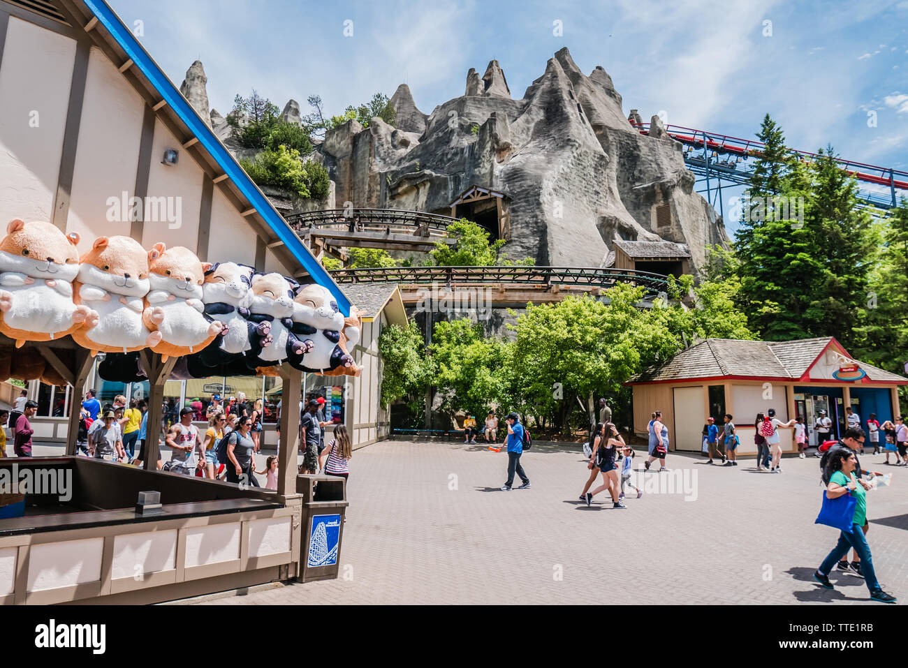 canada's wonderland is the largest theme park in canada, it is located in vaughan, ontario