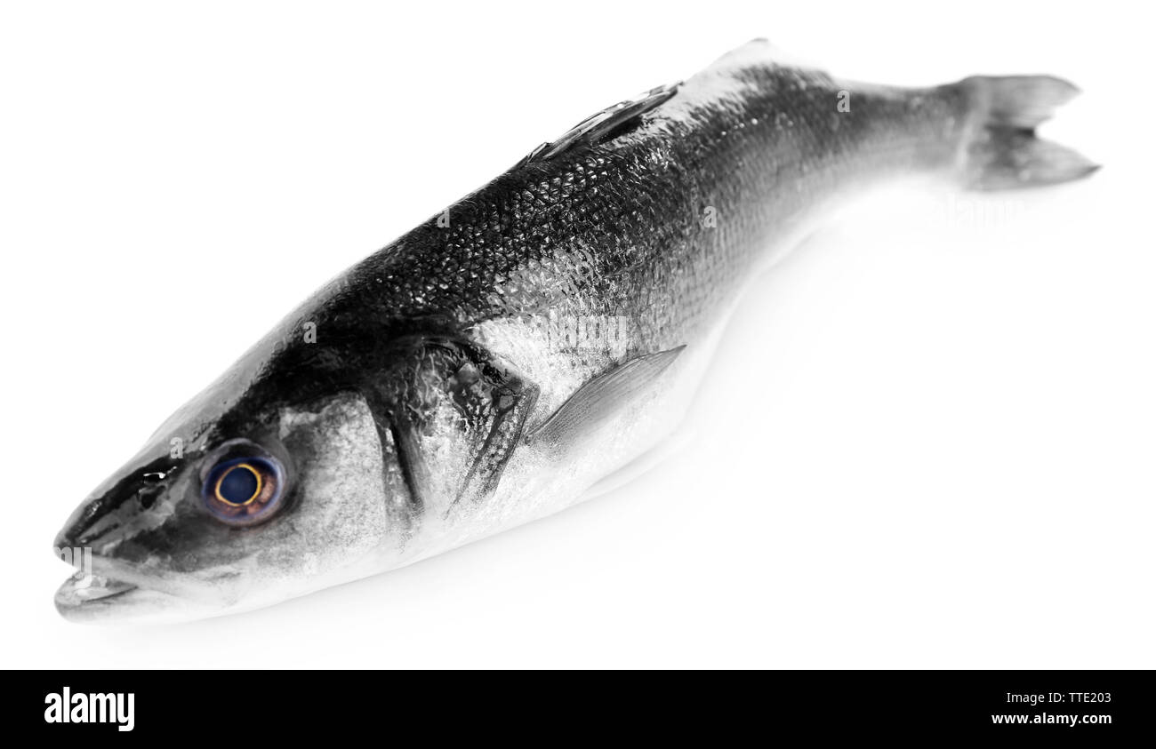 Fresh sea bass fish isolated on white background Stock Photo Alamy