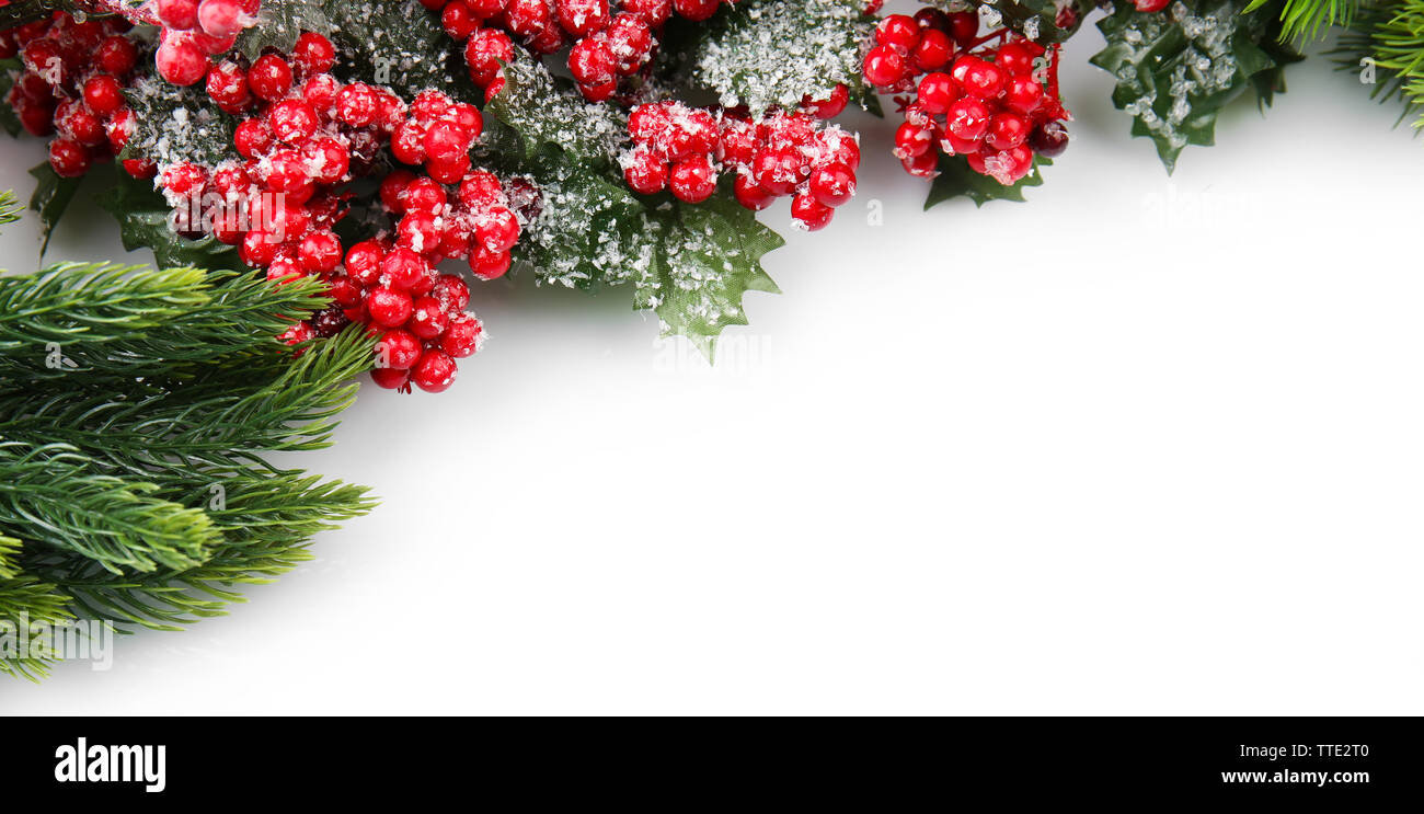 Christmas tree branch with red berries on white background Stock Photo ...
