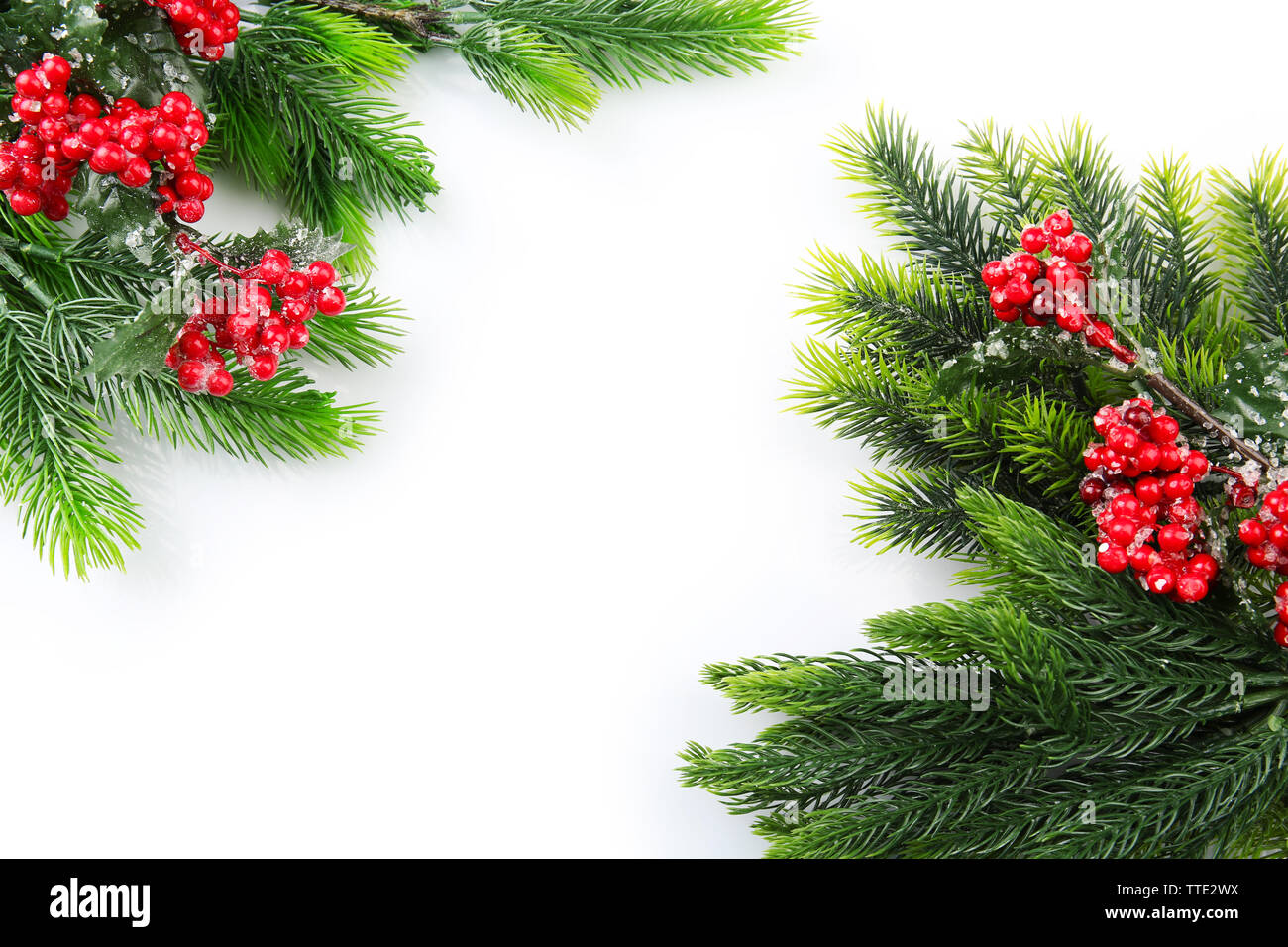 Christmas tree branch with red berries on white background Stock Photo ...