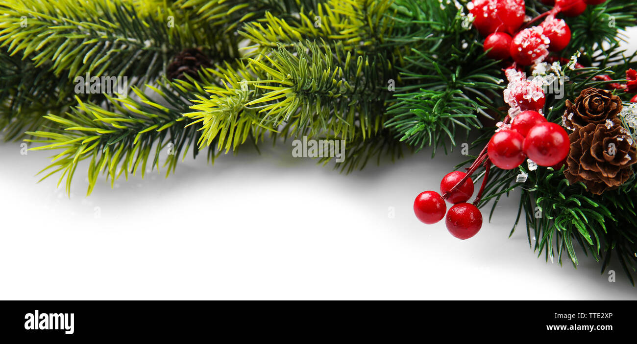 Christmas tree branch with red berries on white background Stock Photo ...