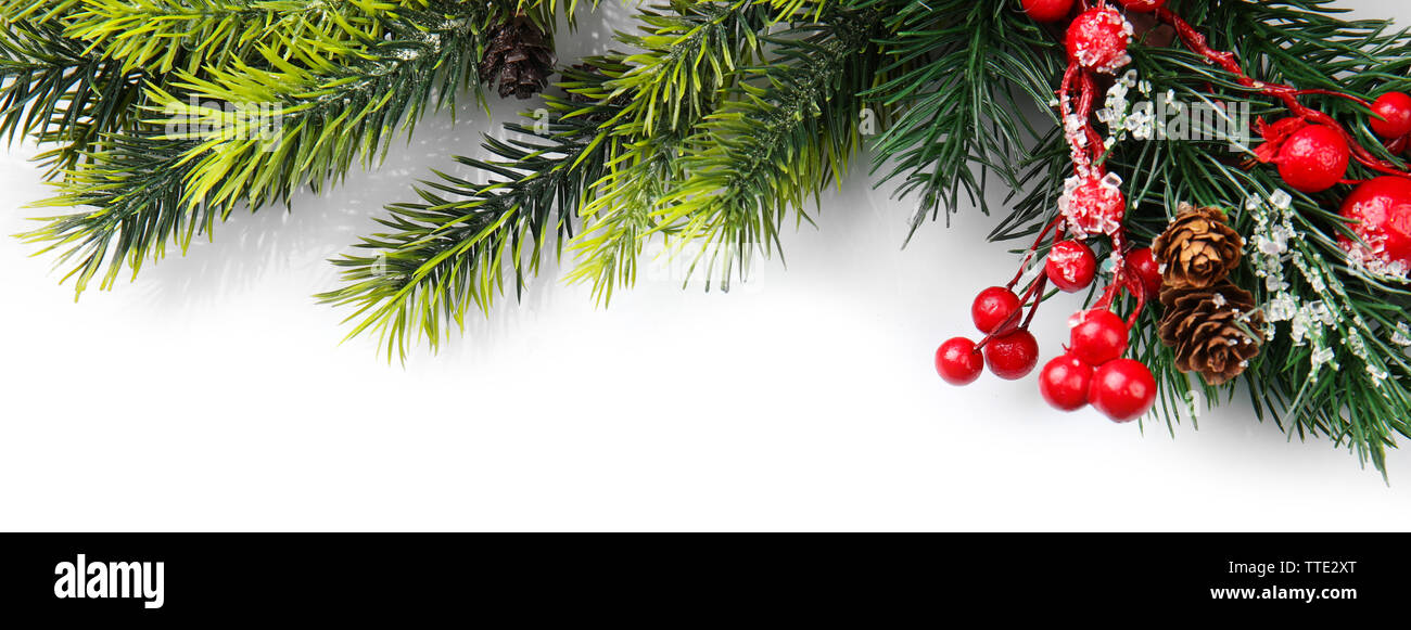 Christmas tree branch with red berries on white background Stock Photo ...