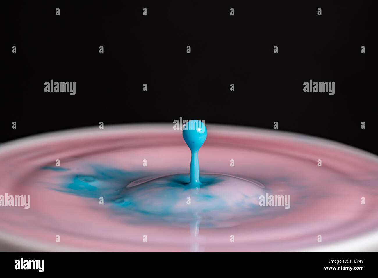Splash of milk droplets in close up macro high resolution isolated ...