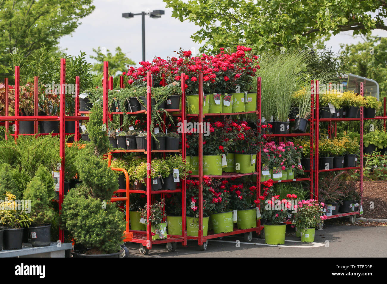 Home depot nursery hires stock photography and images Alamy