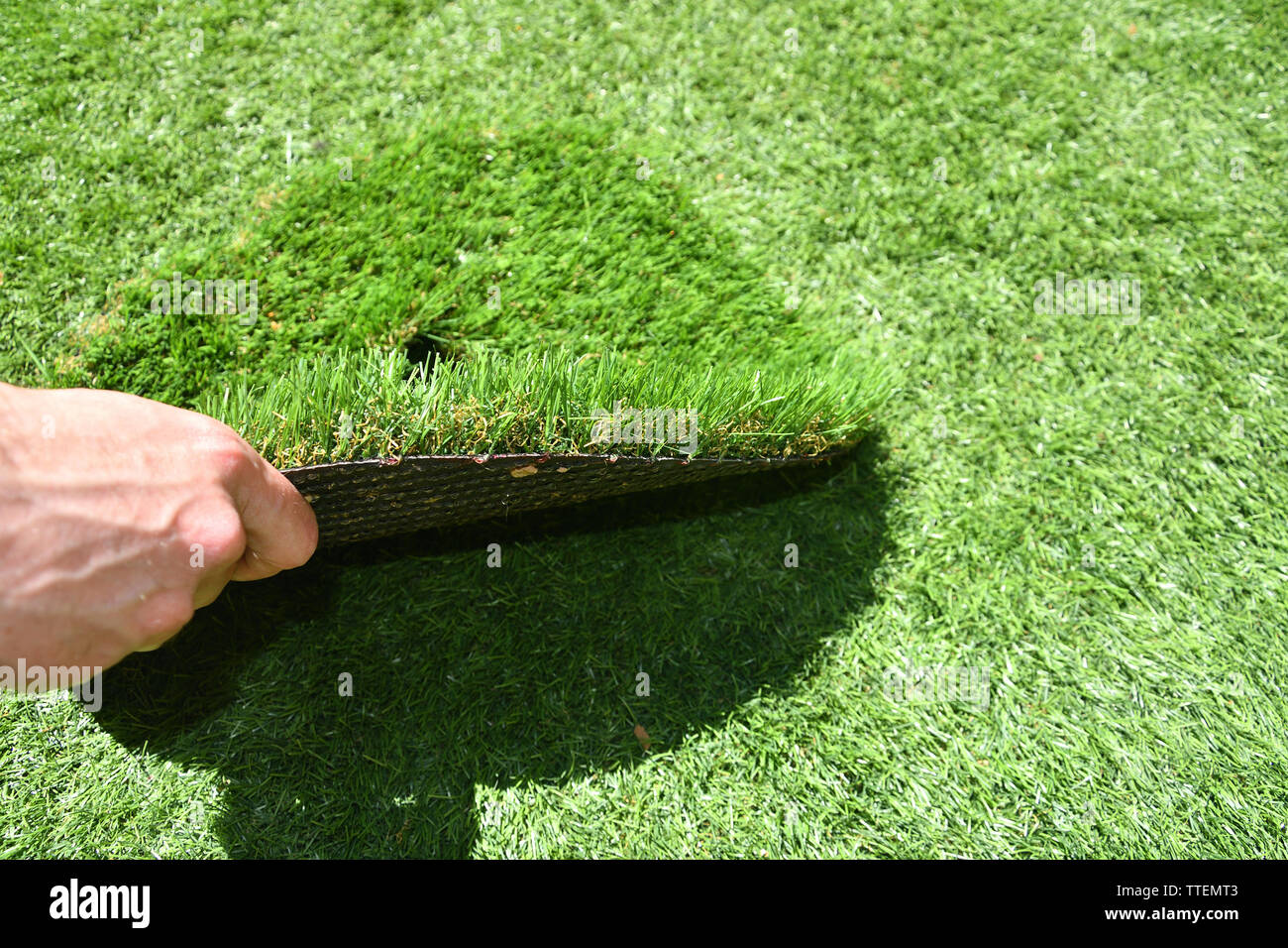 ARTIFICIAL GRASS Stock Photo