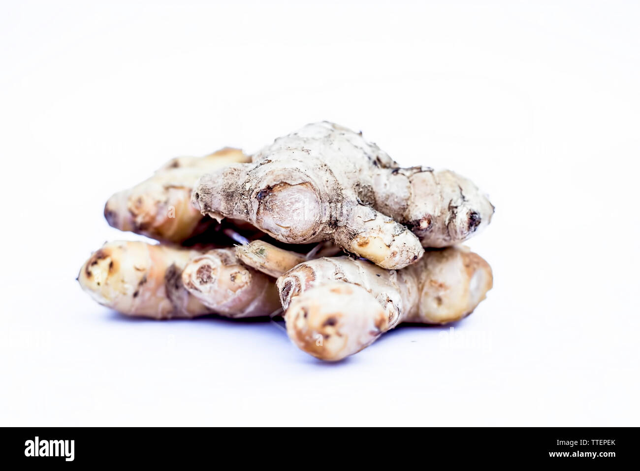 Ginger zingiber officinale rhizome studio hires stock photography and images Alamy