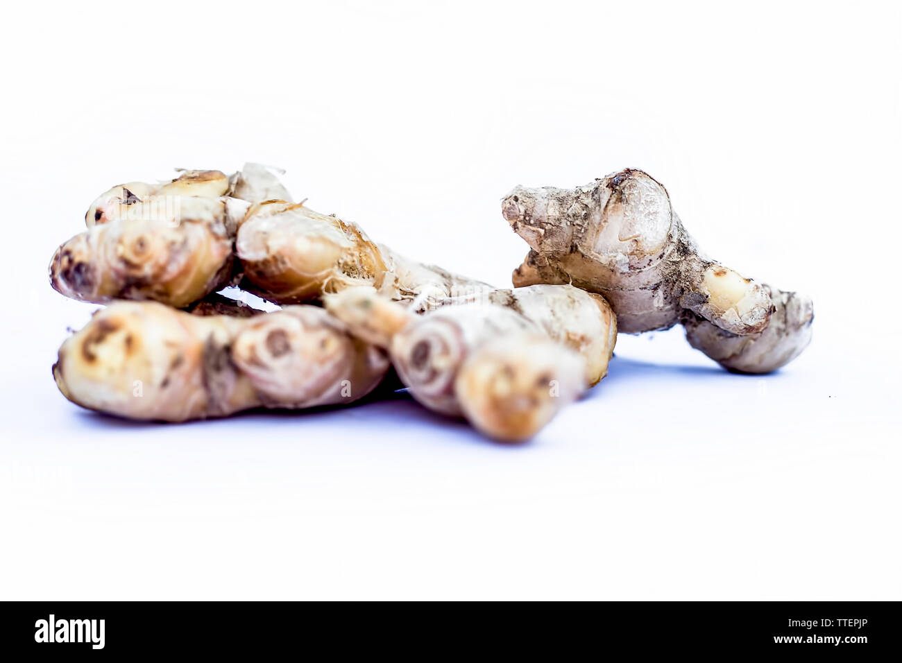Close up of raw fresh organic ginger or adrak or Zingiber officinale ...
