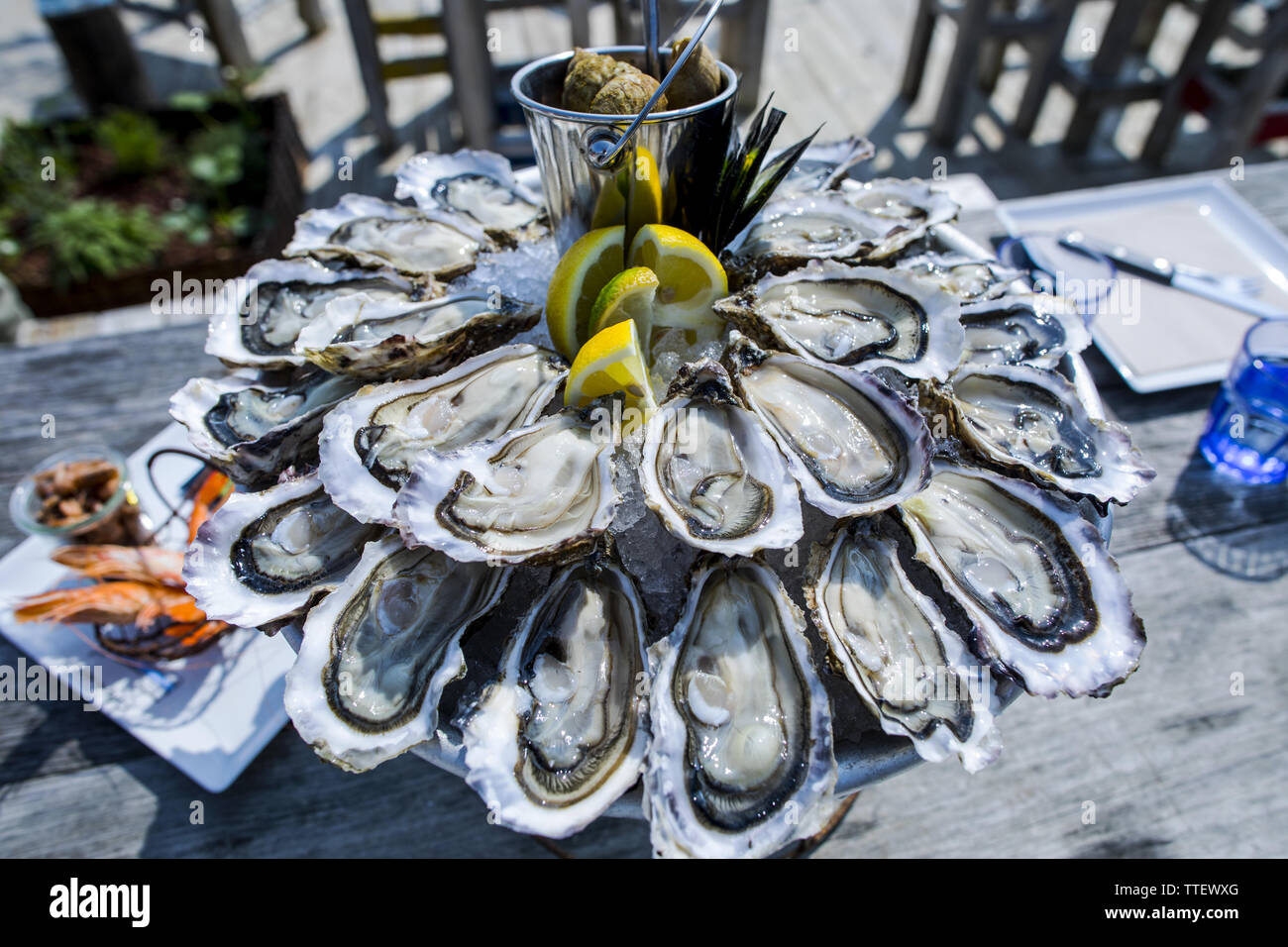 Oyster tray, Cap Ferret France, close up Stock Photo Alamy