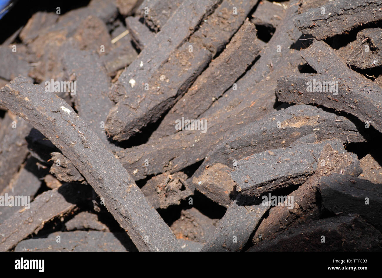 Milled peat briquettes in a small rural farm County Westmeath, Leinster Province, Ireland Stock Photo