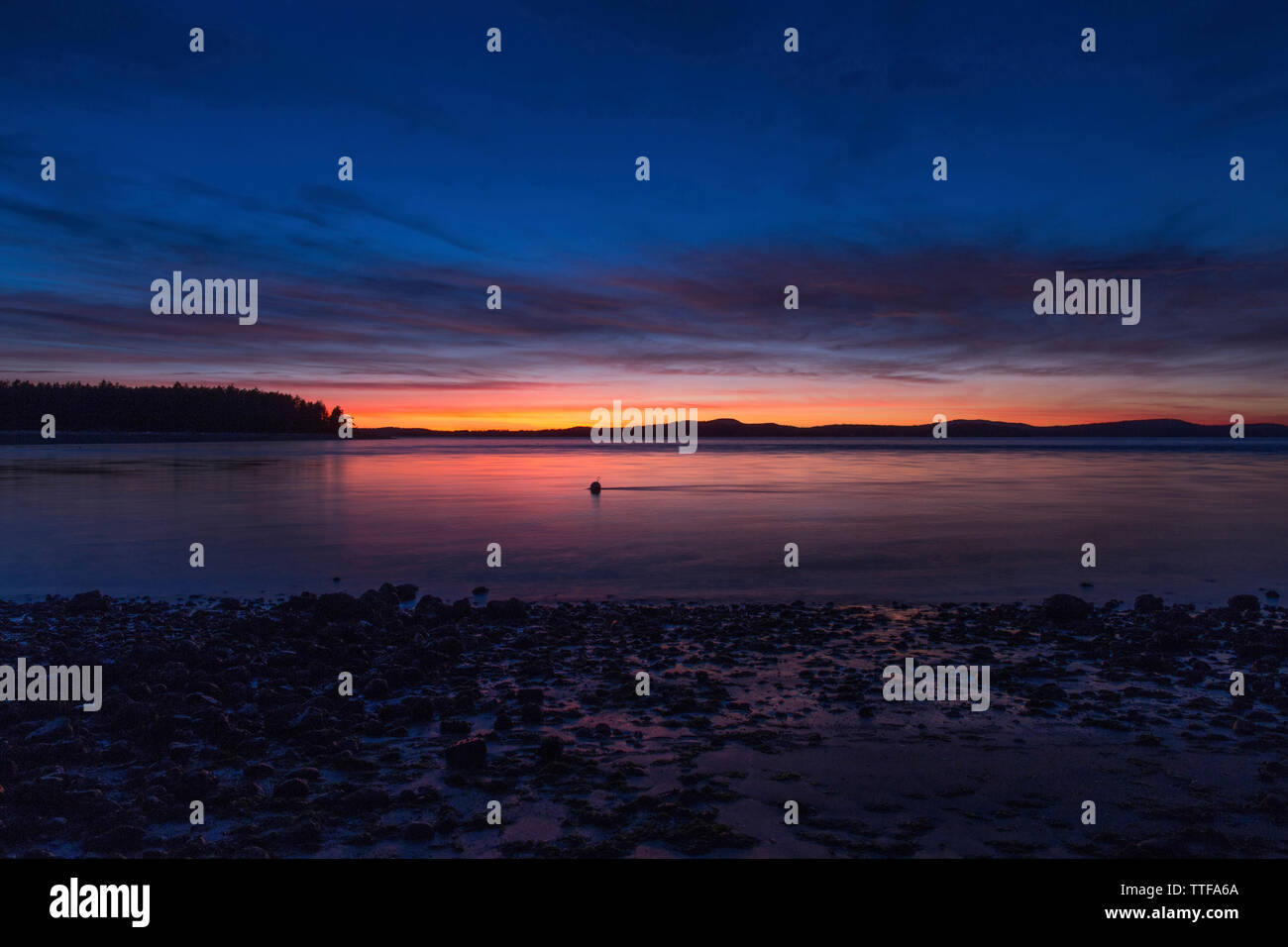 Lopez island hi-res stock photography and images - Alamy
