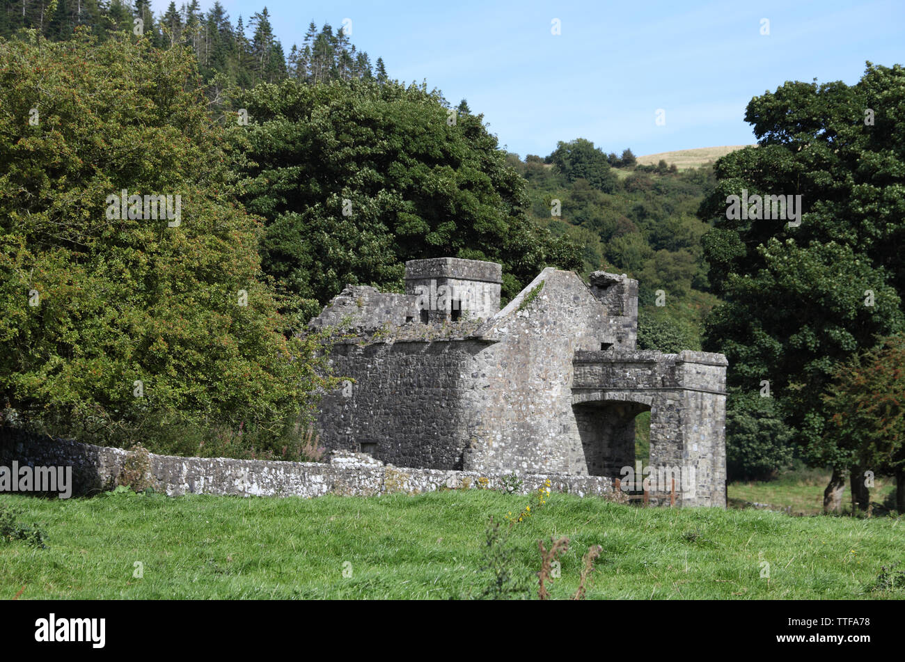 The unique Anchorite's Cell dating from the 15th century and 17th century chapel in the grounds of Fore Abbey, Fore, County Westmeath, Ireland Stock Photo