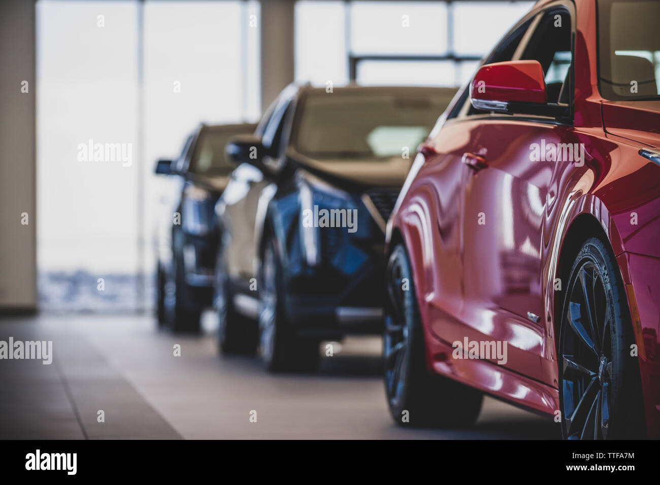 Side view of multiple luxury car inside dealership Stock Photo