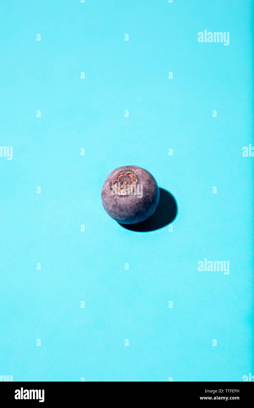 Single Blueberry Close-up in Studio Stock Photo