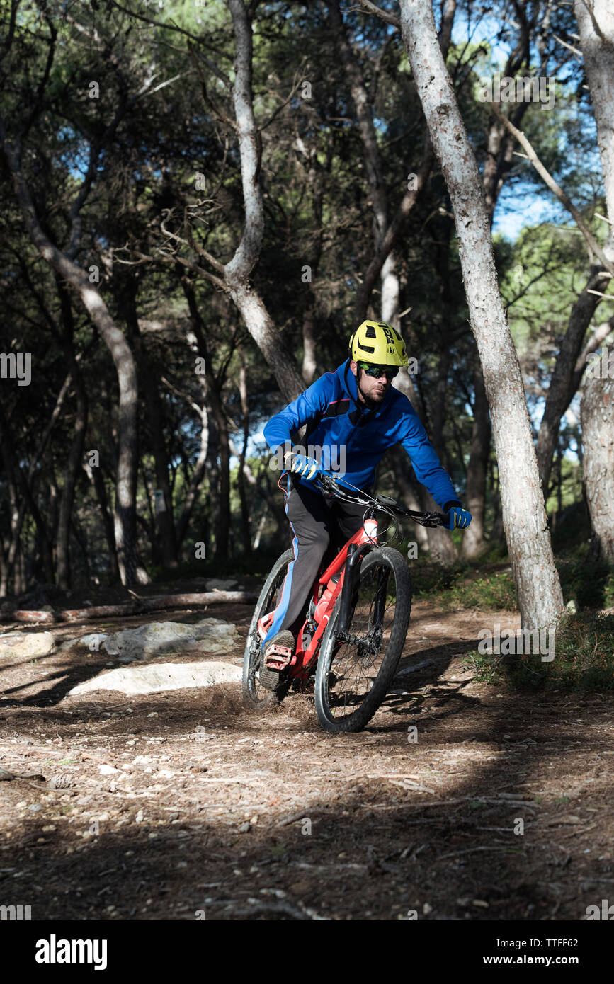 Cyclist through woods in a Mediterranean forest. Stock Photo