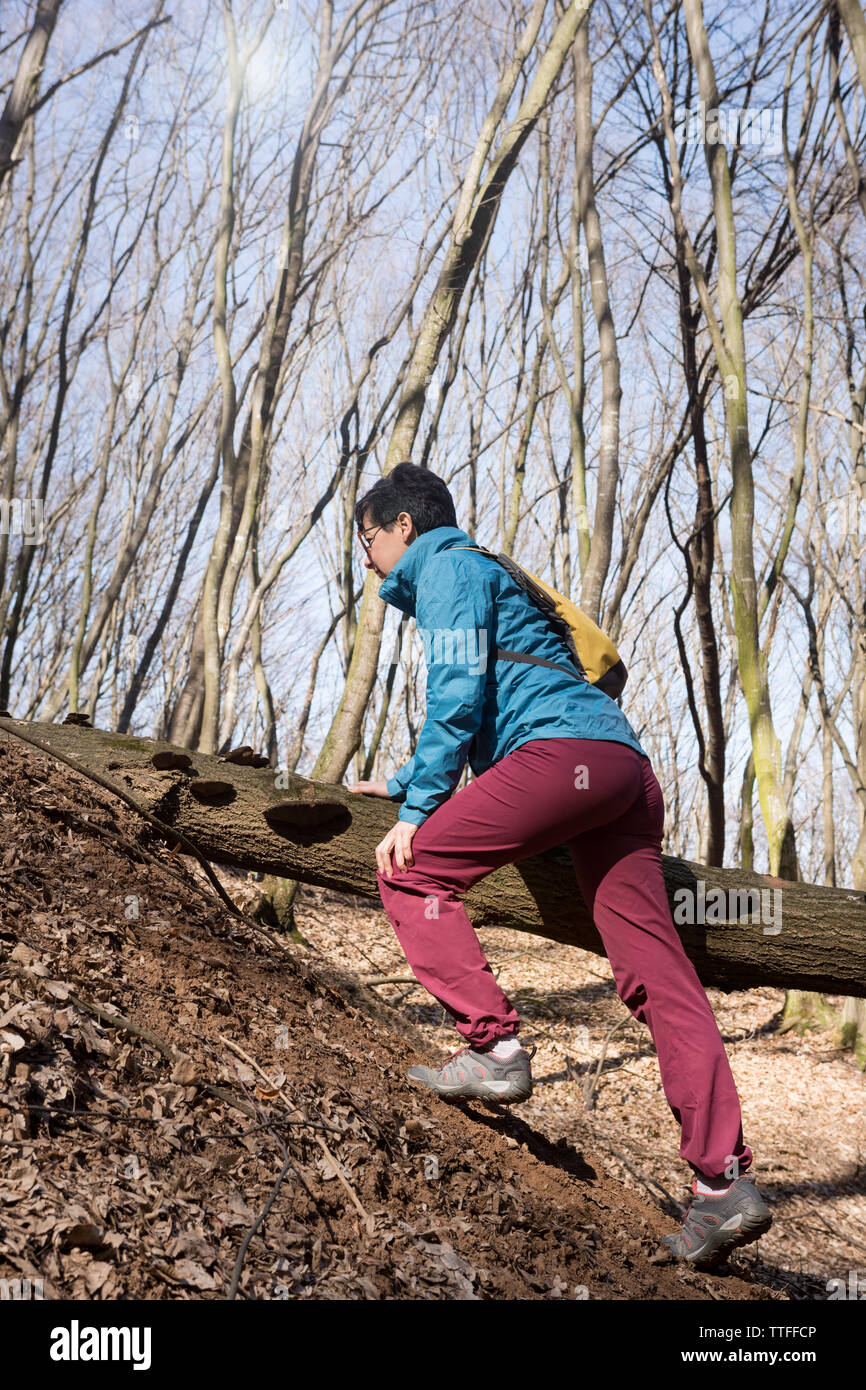 Active adult woman walk in the woods springtime Stock Photo