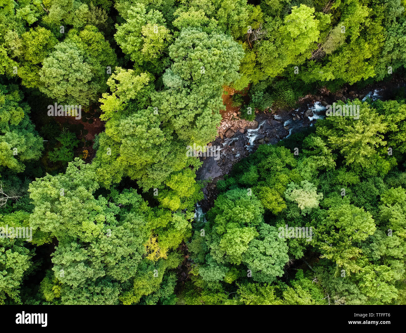 Aerial view of river flowing amidst trees in Pisgah National Forest ...