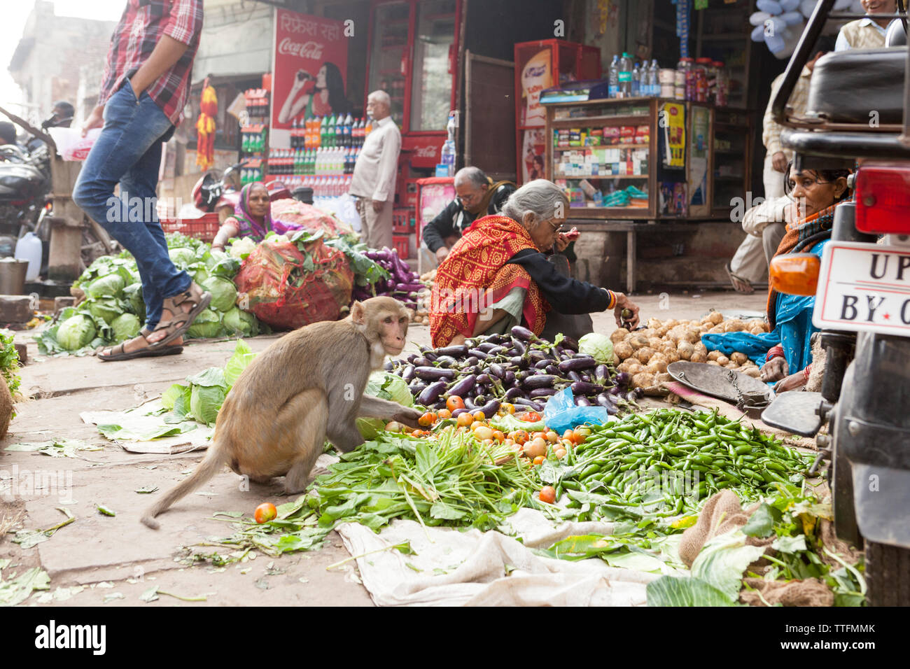 Monkey stealing food from a street market stall in India Stock Photo - Alamy