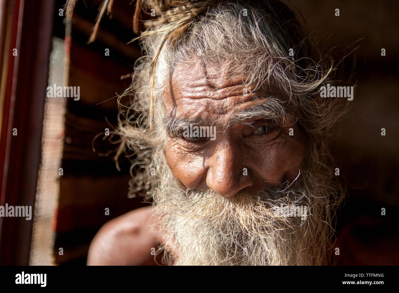 Indien Rasta Portrait of an old indian sadhu with long rasta hair, Pushkar India ...