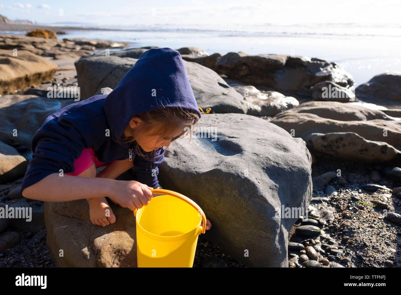 Young girl looking for shells at the beach Stock Photo - Alamy
