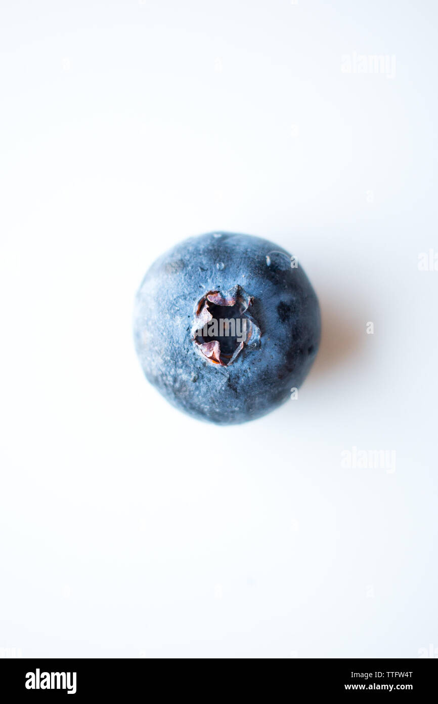 One Single Blueberry on a White Background with a water drop Stock Photo